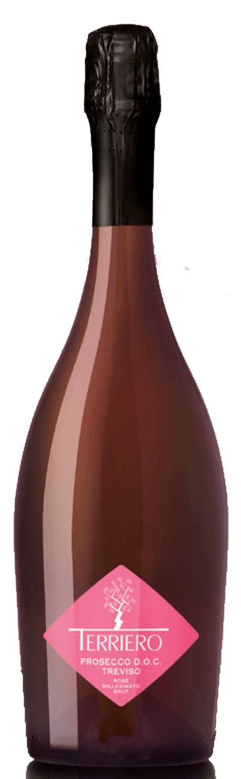 ITALIAN WINE - Prosecco DOC Treviso 