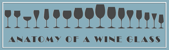 ANATOMY OF A WINE GLASS