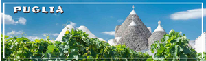 Puglia's Palate: A Culinary and Vinicultural Odyssey Through Southern Italy