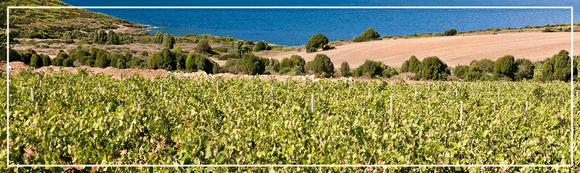 Italian Wine - A WINE LOVER'S GUIDE TO SARDINIA - Guidi Wines