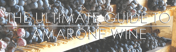 Italian Wine - AMARONE - KING OF REDS - - Guidi Wines