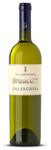 Italian Wine - Falanghina IGP Villa Schinosa 2021 - Guidi Wines