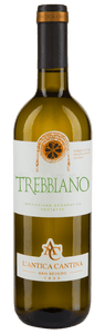 Italian Wine - Bianco Puglia IGP "TREBBIANO" - Antica Cantina San Severo 2021 - Guidi Wines